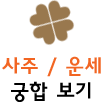 사주/운세/궁합 보기