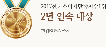 2017 한국 한국소비자 만족지수 1위