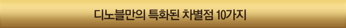 디노블만의 특화된 차별점 10가지