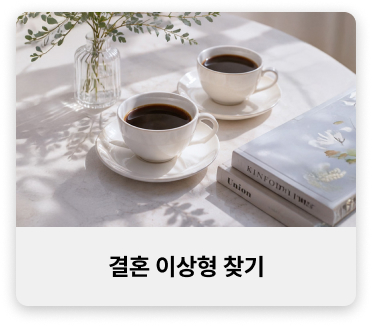결혼 이상형 찾기
